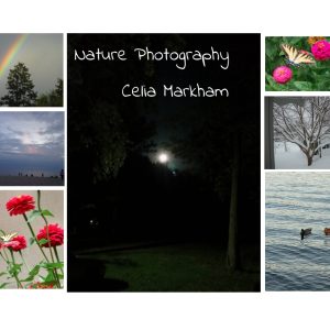 nature photography