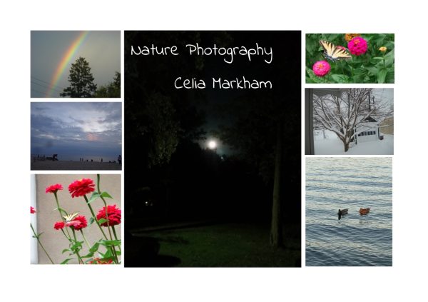 nature photography