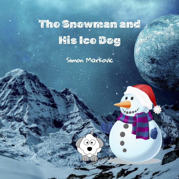 Snowman cover