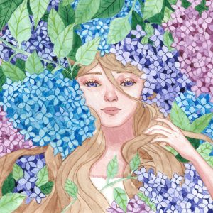 hydrangea