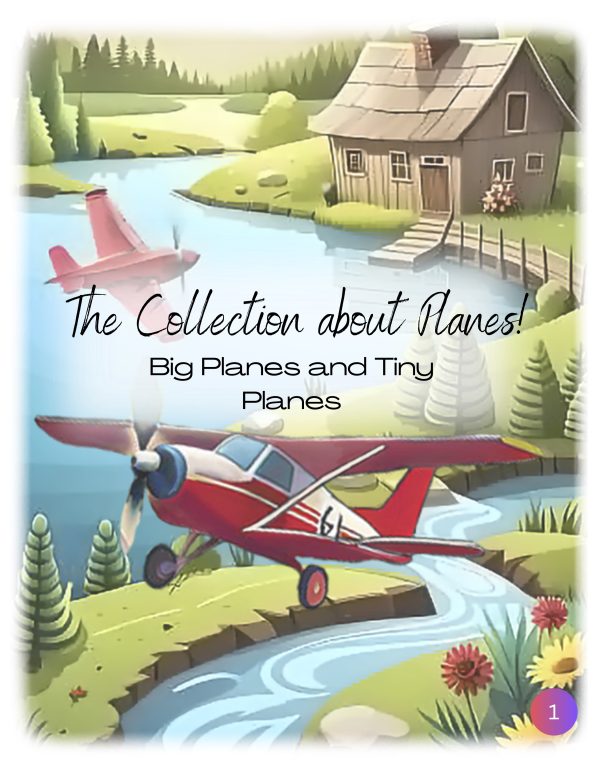 planes book