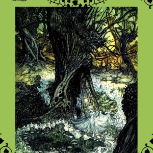 bog kingdom book