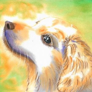 dog watercolor illustration