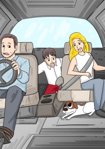 Dog in the car